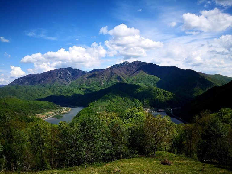ziua olteniei