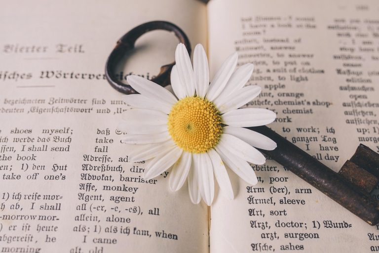 ziua mondiala a dictionarului