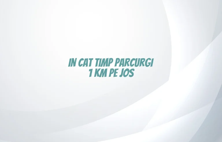 in cat timp parcurgi 1 km pe jos
