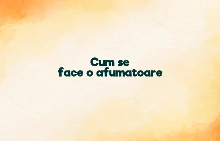 cum se face o afumatoare