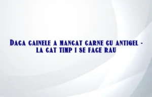 daca cainele a mancat carne cu antigel la cat timp i se face rau
