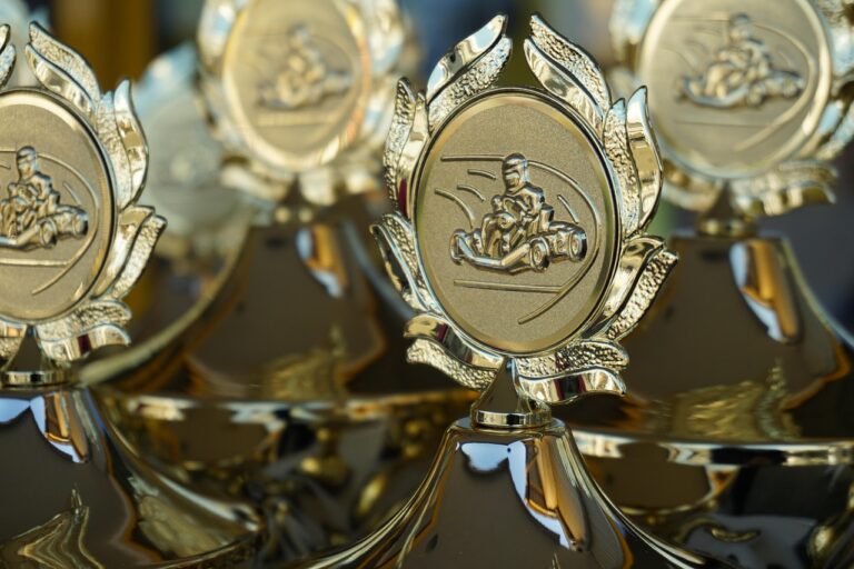 ce premii a castigat leonardo dicaprio