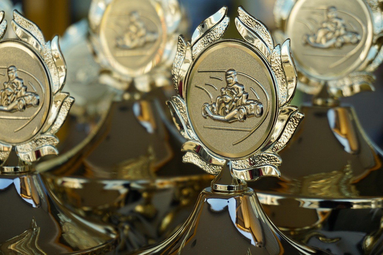 ce premii a castigat leonardo dicaprio