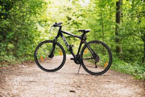 ziua bicicletei