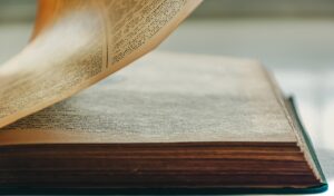 ce contine un plan de afaceri