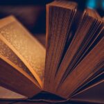 ce este un plan de afaceri