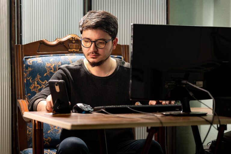 meserii freelancer